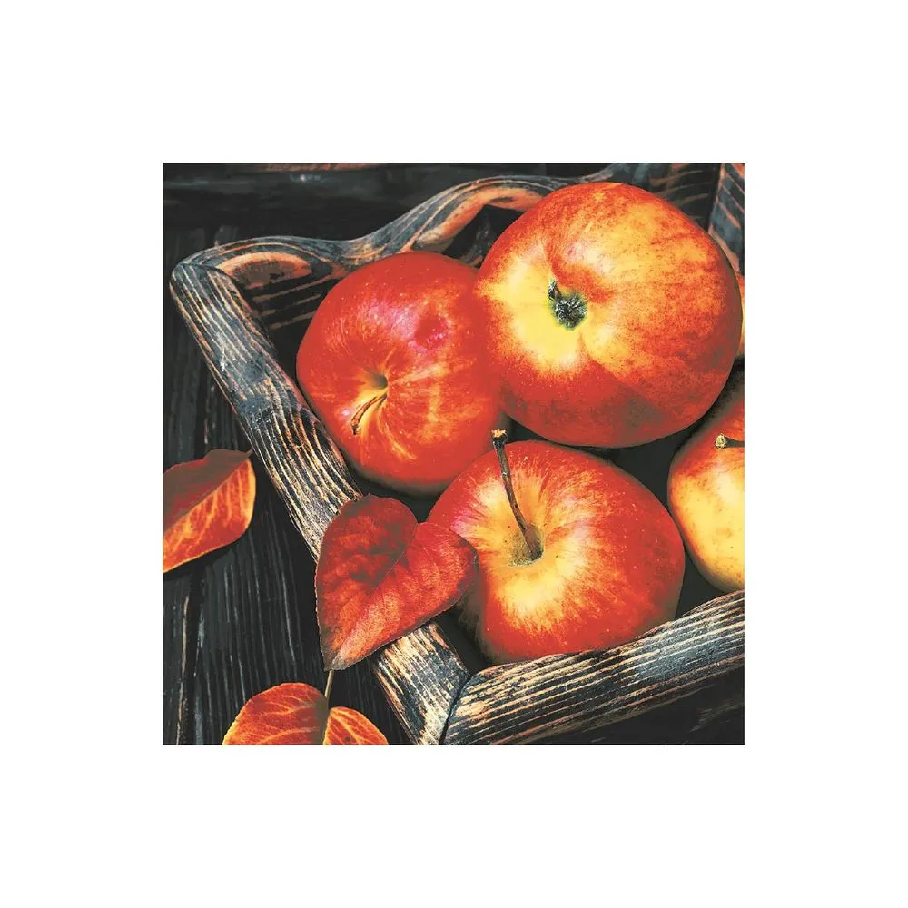 Salvete Apple time 33x33cm troslojne 20/1 Paper+Design