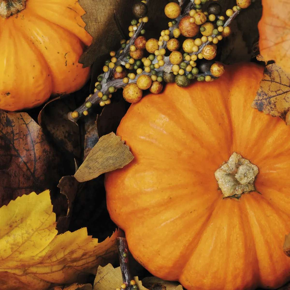 Salvete Fall Pumpkins 33x33cm troslojne 20/1 Paper+Design
