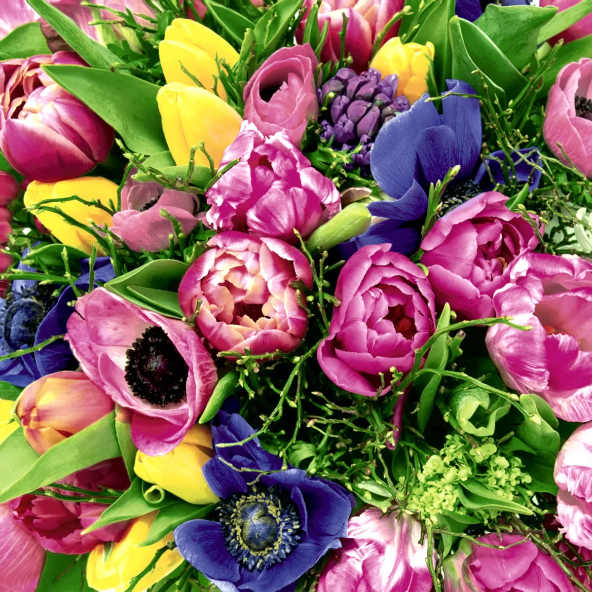 Salvete Spring Florals 33x33cm troslojne 20/1 PaperDesign