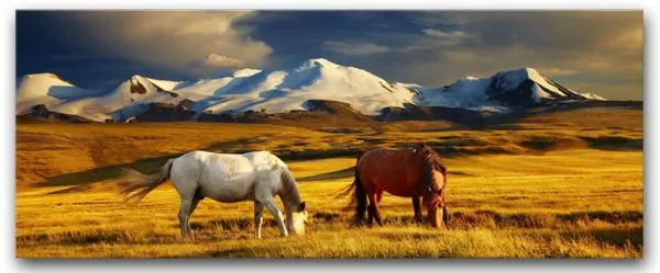 Slika za zid Canvas Foto ST098 Prerija 60x150cm Styler