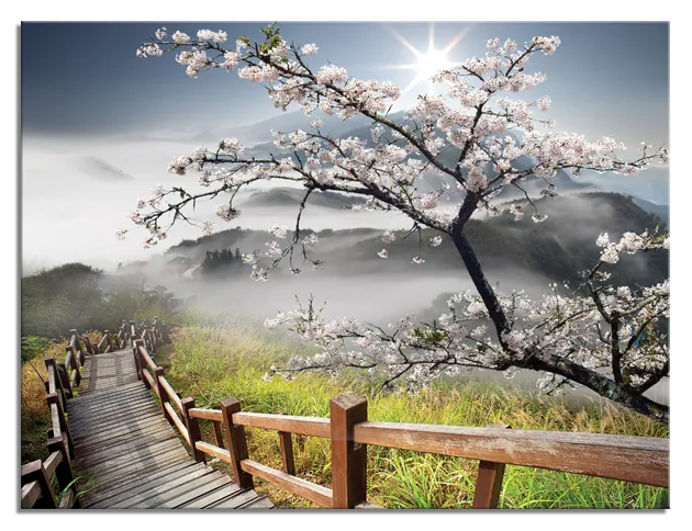 Slika za zid Canvas Slim ST288 80x116cm Sakura Styler