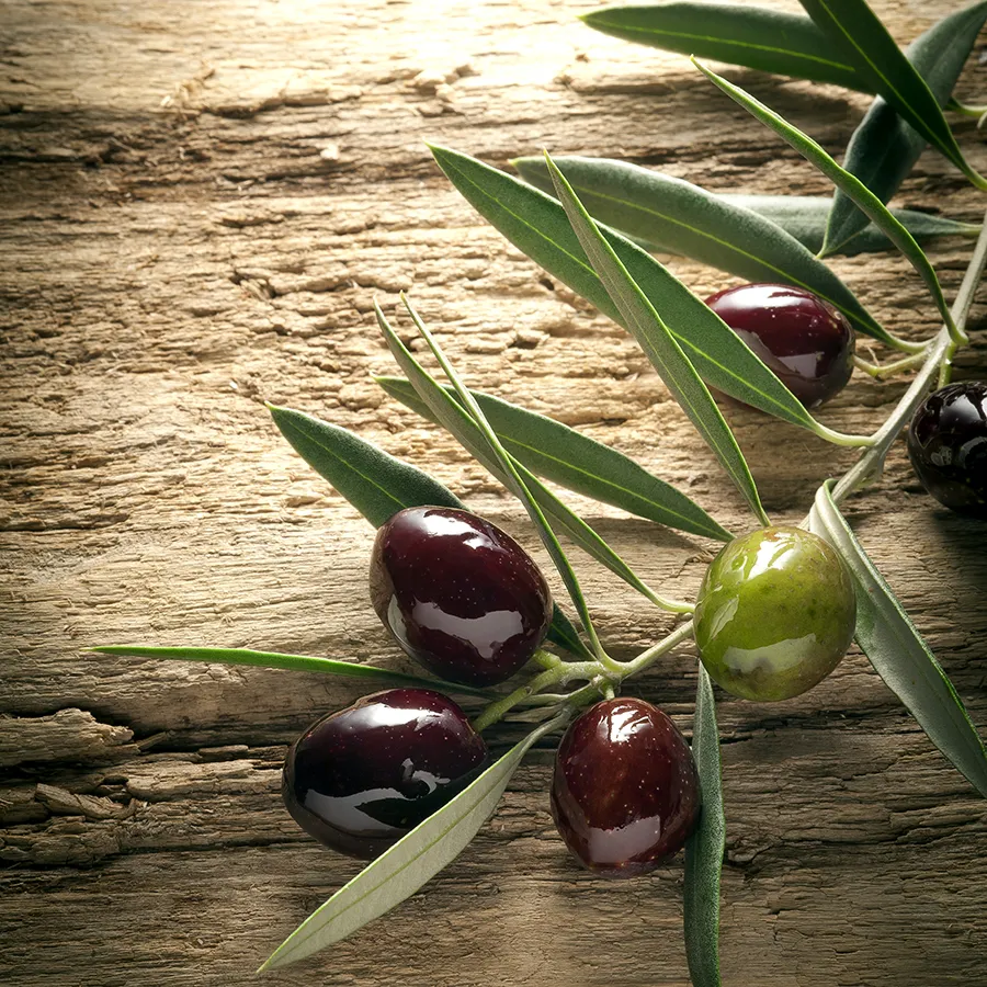 Slika za zid Glasspik Kitchen 30x30cm EX274 Olives 4 Styler