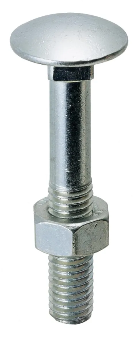 Torban vijak DIN 603/555 4.8  M6X100 sa maticom