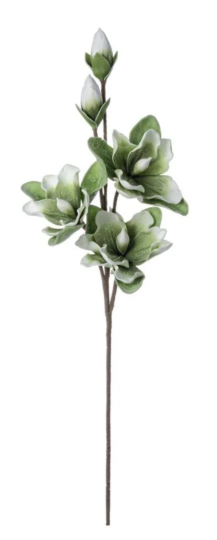 Ukrasni cvet Magnolia X3F+2B h95cm zeleni/smedji Bizzotto