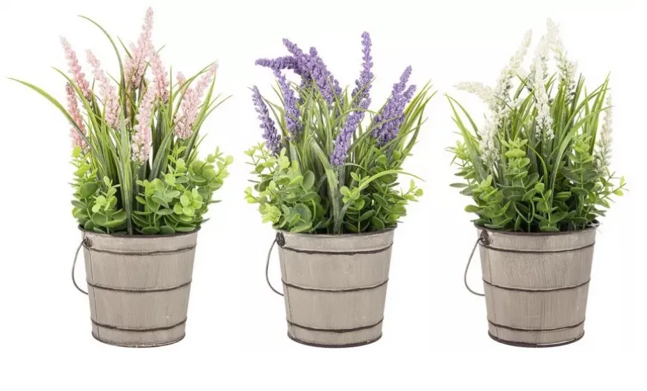 Ukrasno cveće Lavanda u metalnoj kofi 14x37cm sort Bizzotto