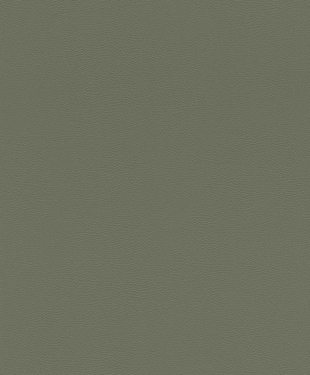 Tapeta za zid - 10.05x0.53m val.2027 - zidna tapeta African Queen III zelena - Rasch
