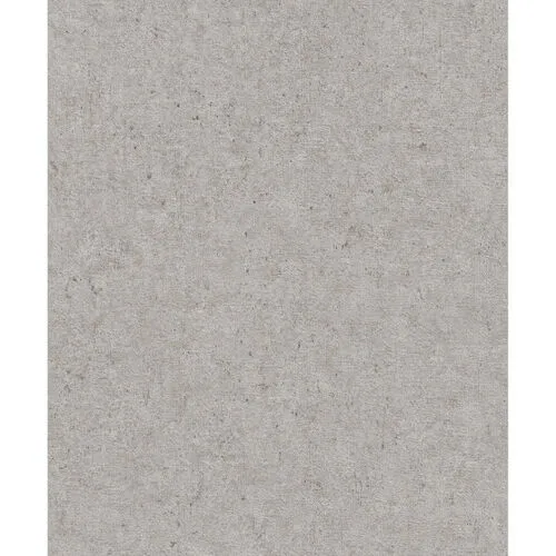 Zidna tapeta Concrete 10.05x0.53 m val2025 siva/boja srebra Rasch