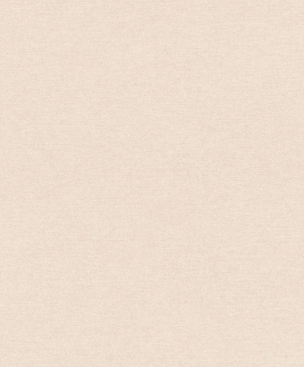 Zidna tapeta Cosy Living 10.05x0.53m val.2027 bež Rasch