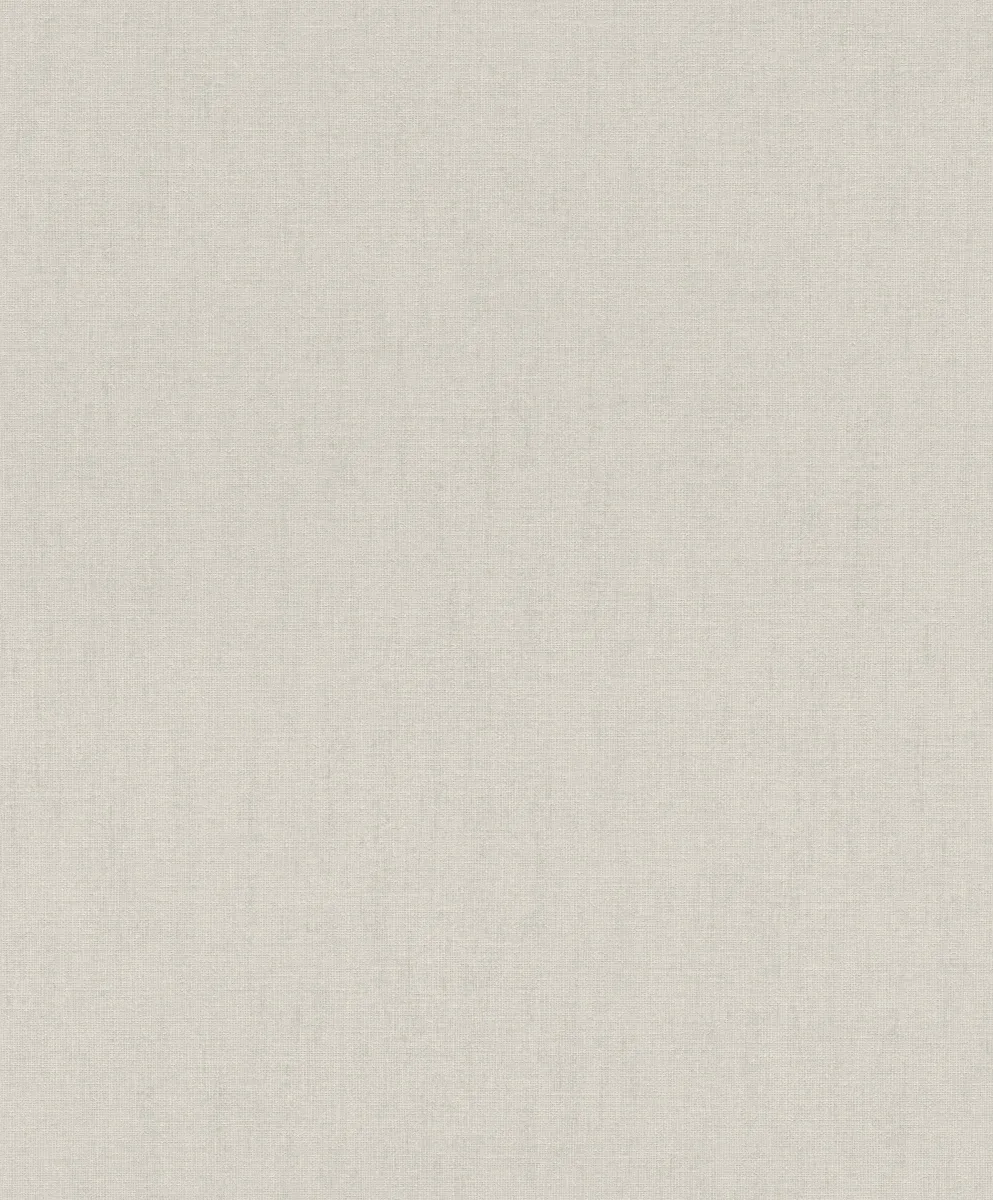 Zidna tapeta Florentine IV 10.05x0.53m val.2027 siva Rasch