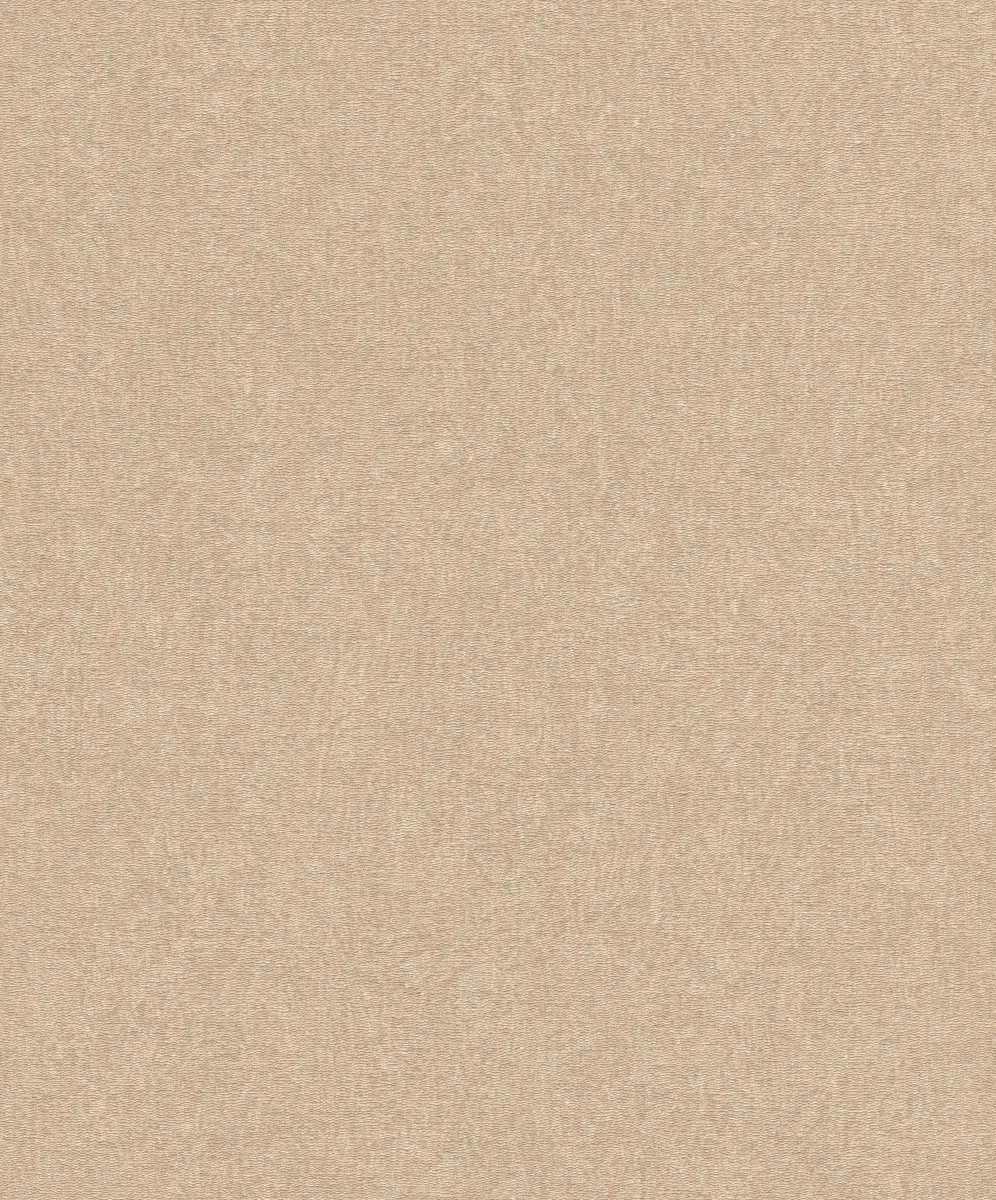 Zidna tapeta Selection 10.05x0.53m val.2026 boja zlata Rasch