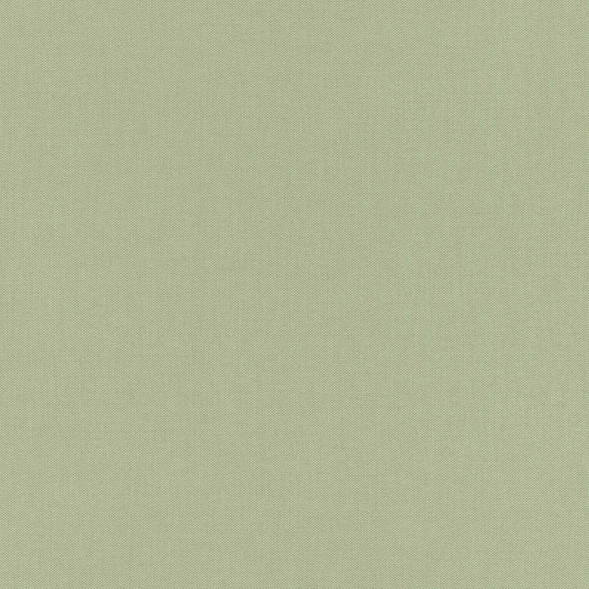 Tapeta za zid - 10.05x0.53m val.2027 - zidna tapeta Selection Vinyl/Vlies zelena - Rasch