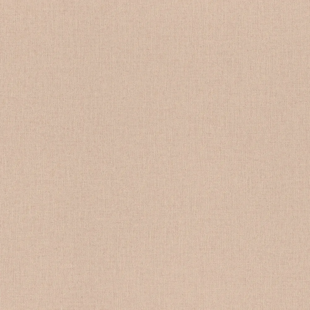 Zidna tapeta Tendencia 10.00x1.06m val.2024 Rasch