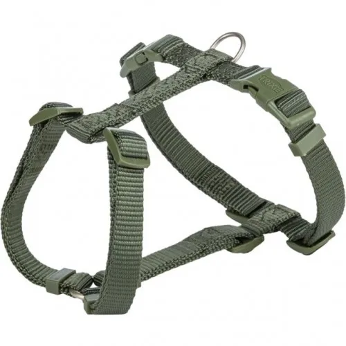 Am Premium H XS-S 30-44cm 10mm Maslinasti