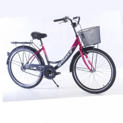Bicikl City Bike Paris 26in siva ciklama