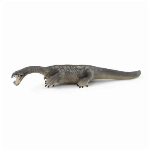 Dinosaurus Nothosaurus