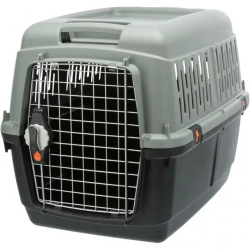 Giona 4 transporter S-M 50x51x70cm sivi