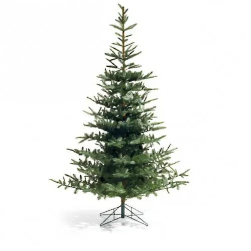 Novogodišnja jelka Nobilis fir 150cm x 102cm Everlands