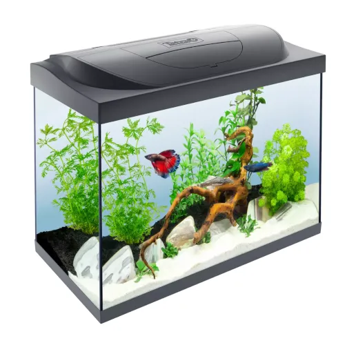 Tetra  LED akvarijum 80l Starter Line