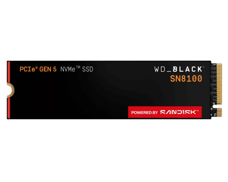 1TB M.2 NVMe SSD Gen5 WDS100T1X0M SN8100 Black