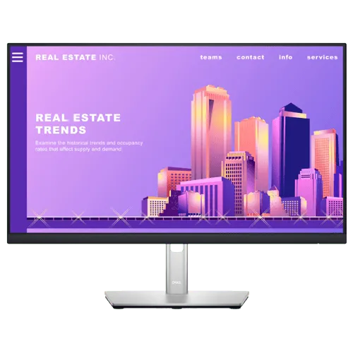 DELL Monitor 24 IPS P2422H