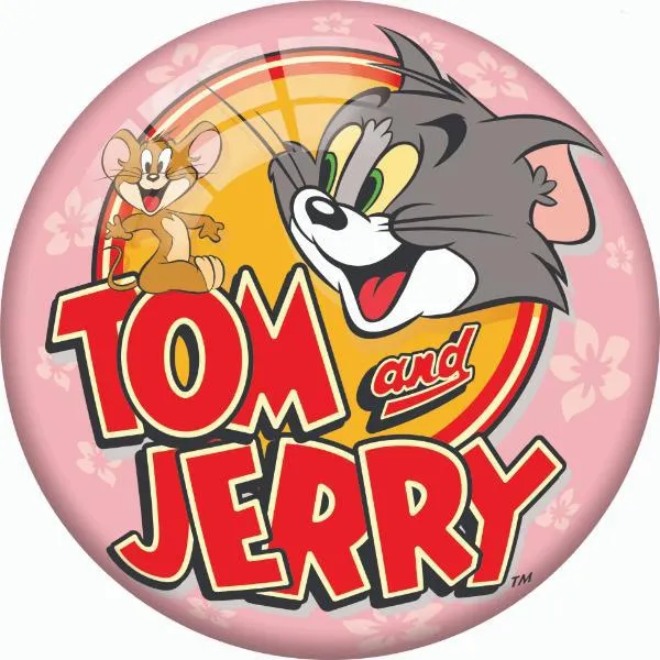 DEMA STIL LOPTA TOM&JERRY ROZE 23CM