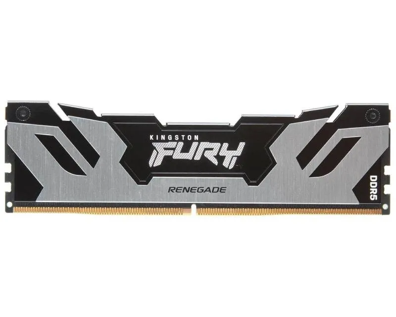 DIMM DDR5 16GB 6400MT/s KF564C32RS-16 FURY Renegade