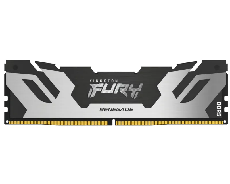 DIMM DDR5 48GB 6000MT/s KF560C32RS-48 FURY Renegade Silver/Black XMP