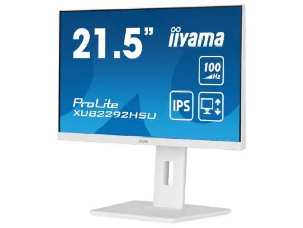 Monitor 21.5