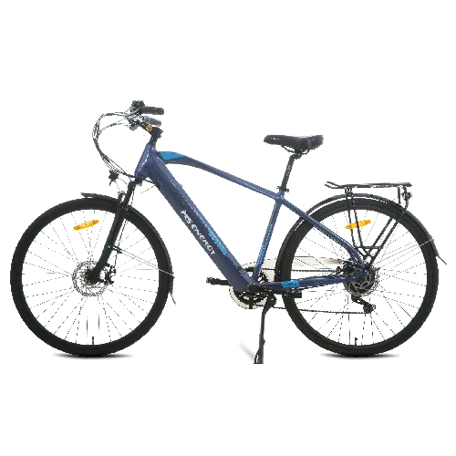 MS ENERGY eBike C11 L