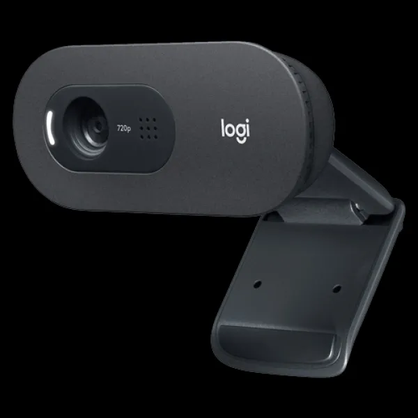Web camera Logitech C505e 960-001372