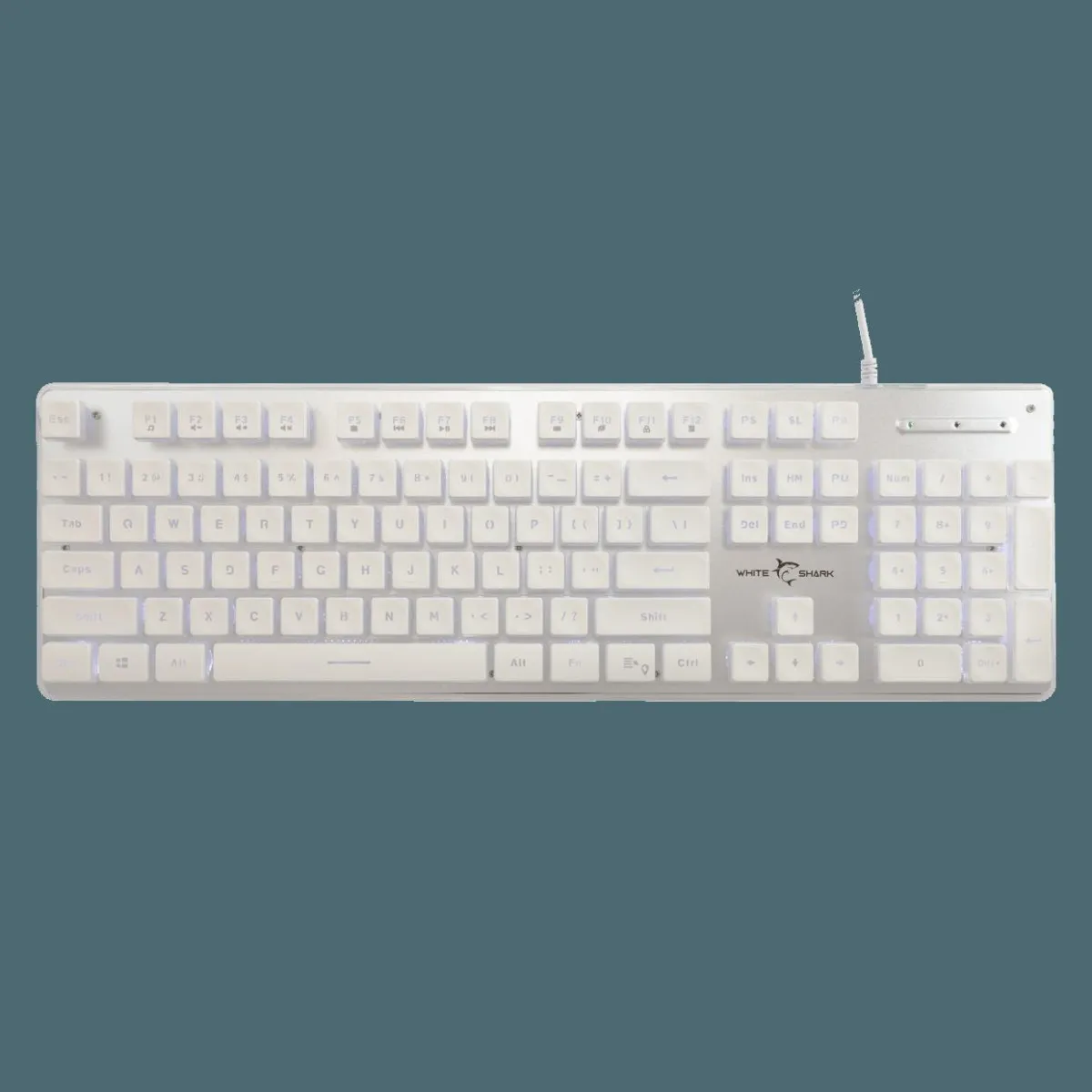 WS GK 003241 TACHI White Keyboard - US