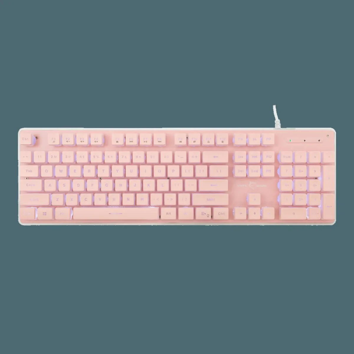 WS GK 003441 TACHI Pink Keyboard - US