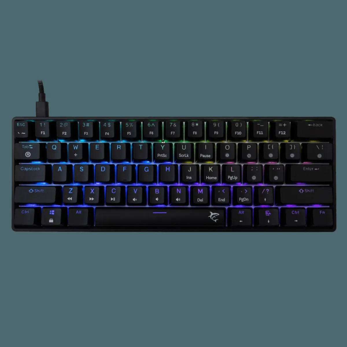 WS GK 004211 SHINOBI - 2 B Blu Mechanical - US
