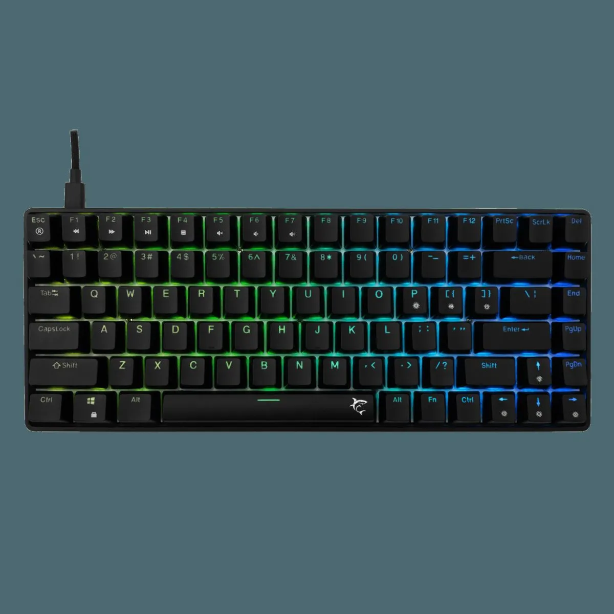 WS GK 005121 HAMACHI Black Mechanical RGB - US