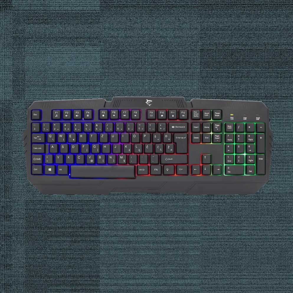 WS GK 2105 DAKOTA Keyboard