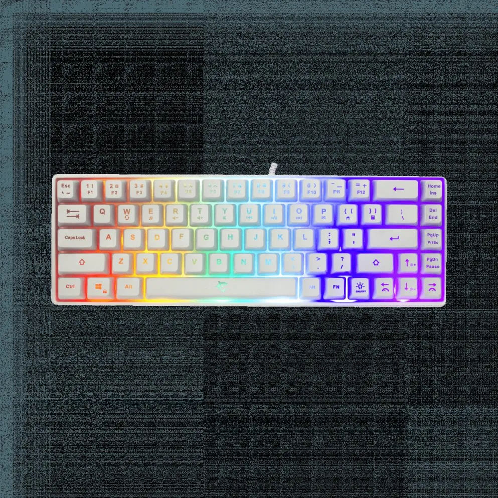 WS GK 2201 RONIN White Keyboard - US