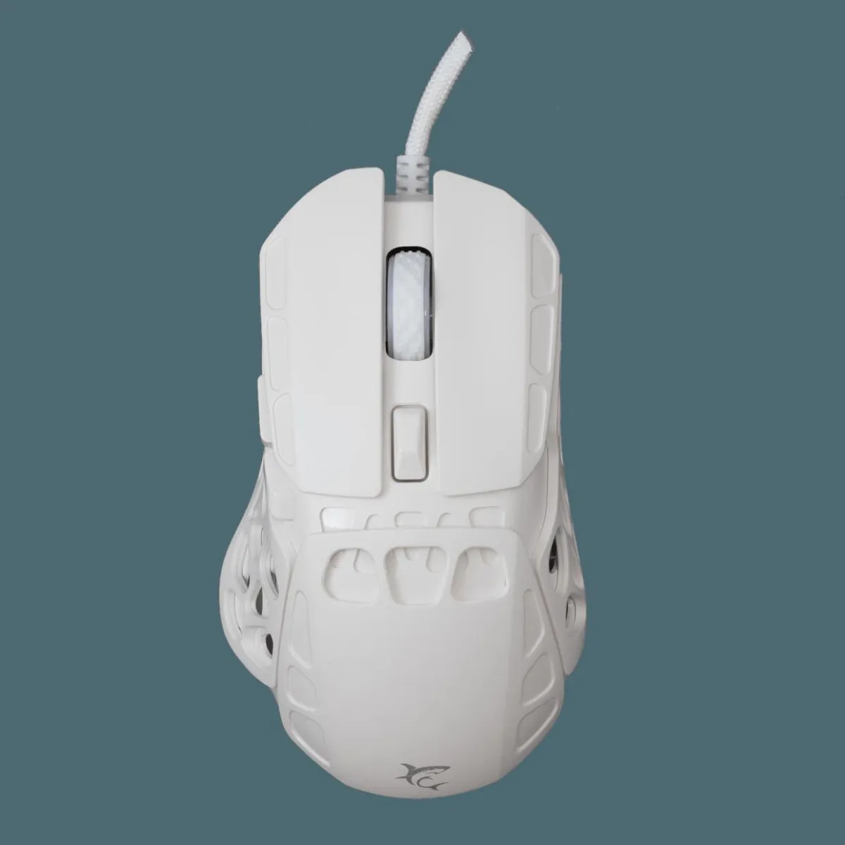 WS GM 5016 ECTOR Mouse White