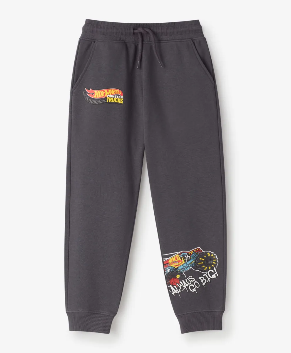 Donji deo trenerke za dečake sa licenciranim printom Hot Wheels