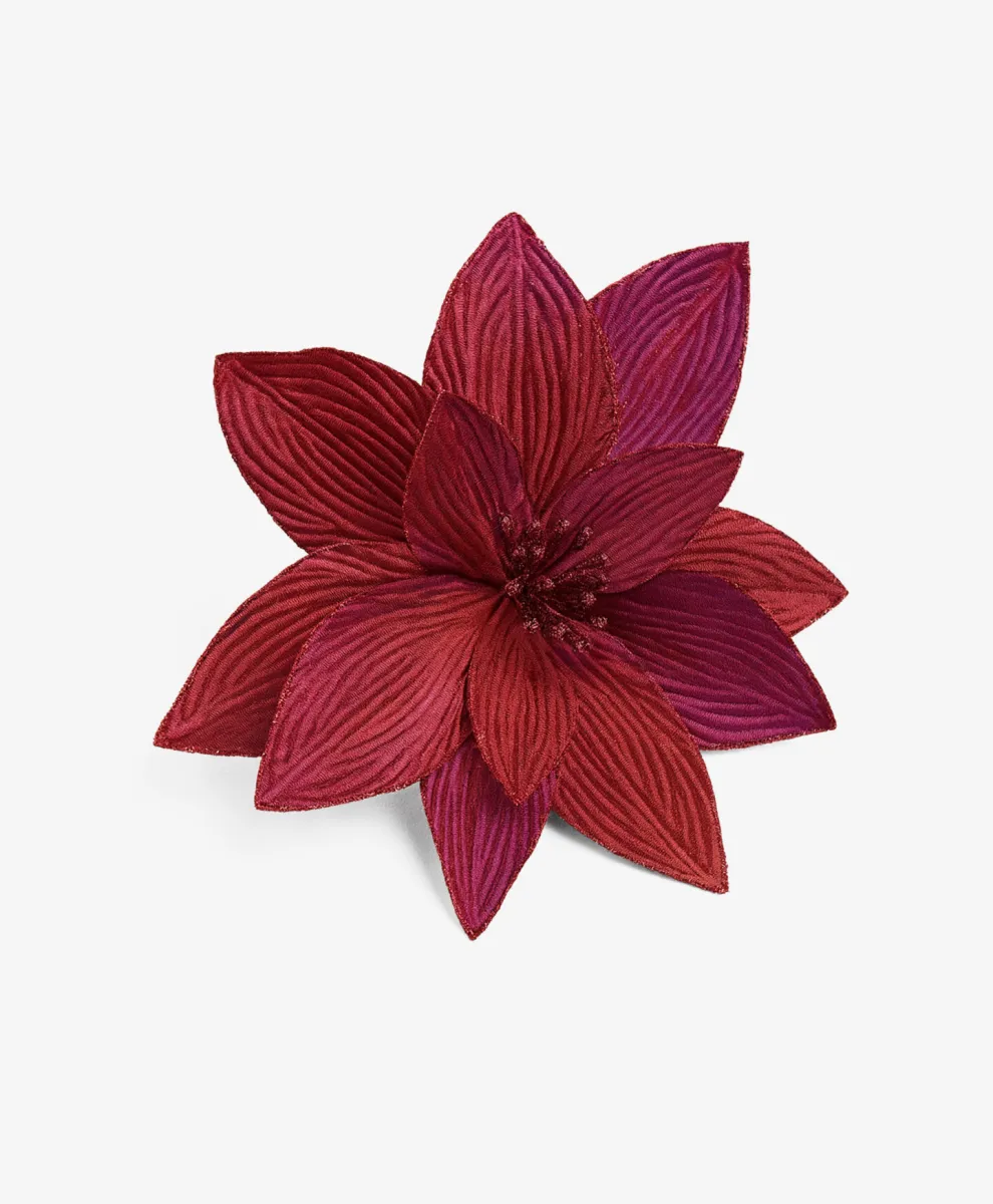 Fuksija zvezda sa štipaljkom