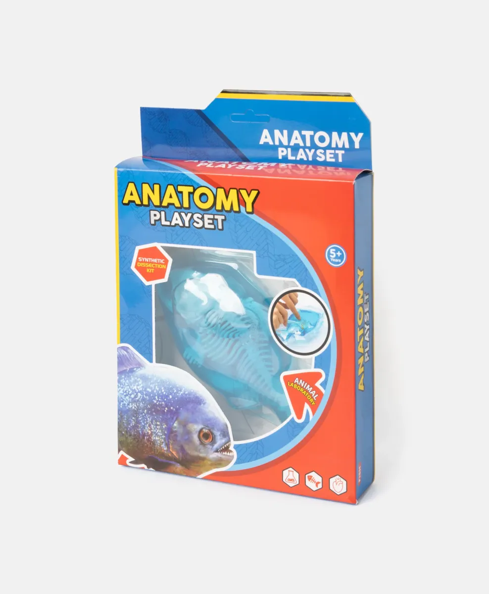 Igrački set za učenje anatomije životinja