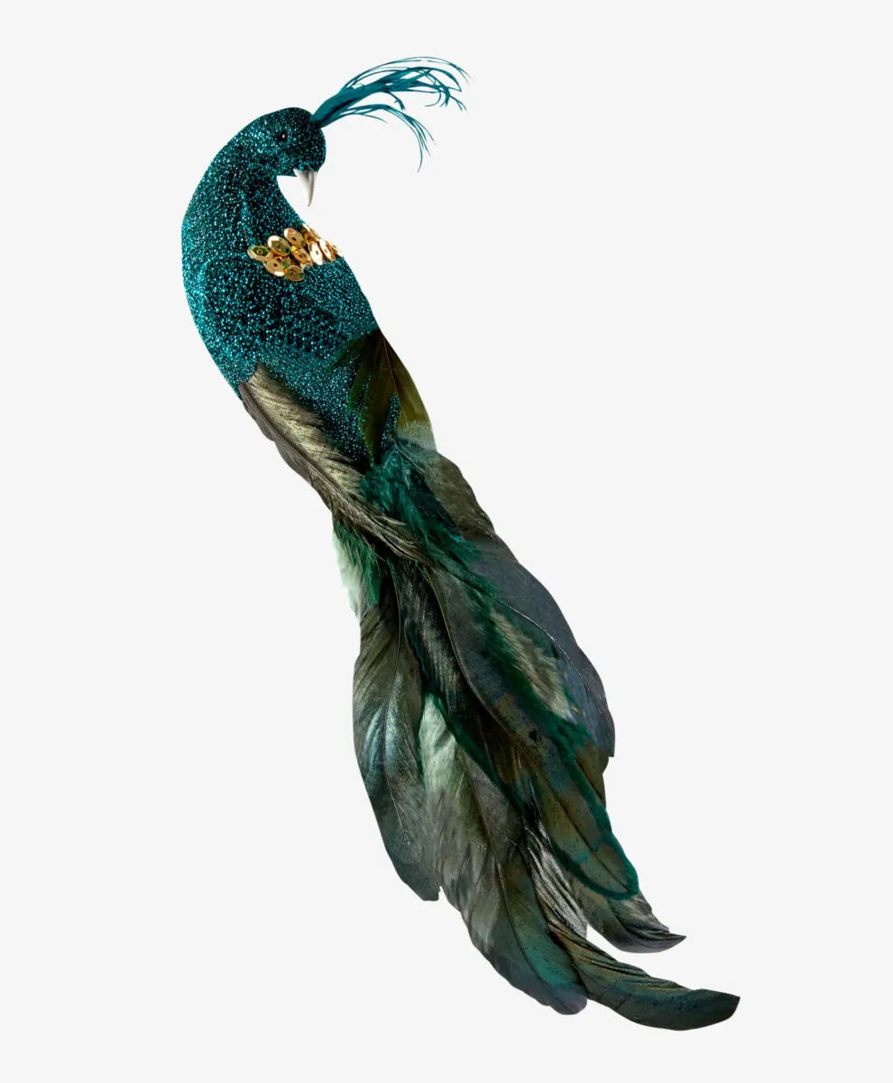 Veliki tirkizni paun, dekoracija