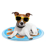 All for Paws
      
      
      ALL4PAWS ChillOut Prostirka za hlađenje Papaya, 60x0,8cm