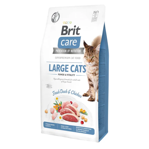 Brit Care
      
      
       Cat Large cats Power&Vitality, bez žitarica, 2 kg