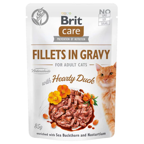 Brit Care
      
      
       kesica, fileti u sosu s pačetinom, 85% mesa, 85g