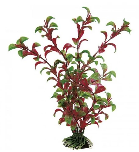 Ferplast
      
      
      OUTLET  Bilje za akvarijum Rotala, plastično 10cm