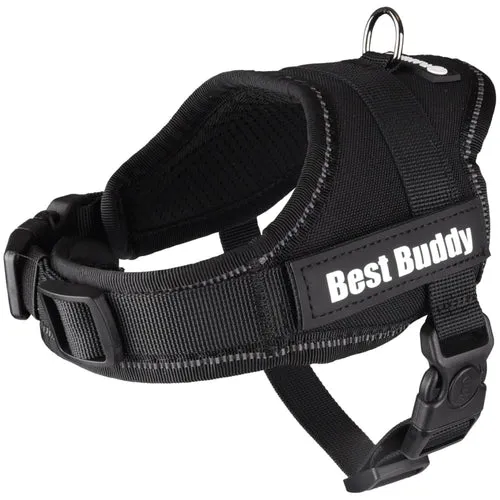 Flamingo
      
      
      OUTLET  Am za pse Best Buddy Pluto Crni