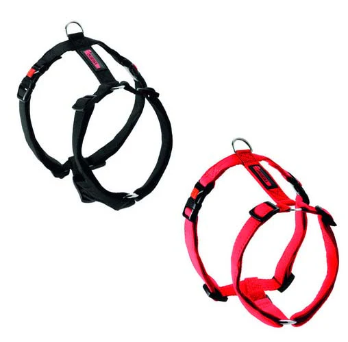 Flamingo
      
      
      OUTLET  Am za pse teflon NoLimit Crveni 25mm/65-100cm