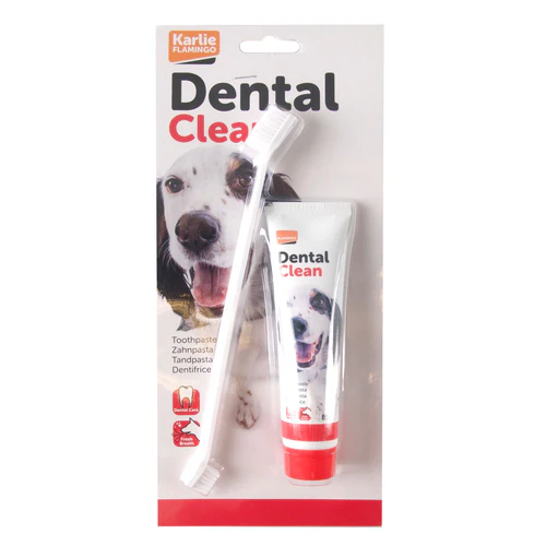 Flamingo
      
      
       Pasta za zube i četkica Dental Clean, za svež dah 85g