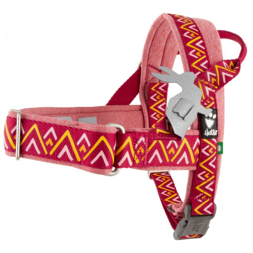 Hurtta
      
      
      OUTLET  Am za pse Razzle Dazzle Nordic Beetroot, 35-45cm