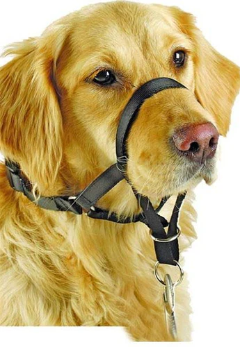 Pawise
      
      
       Brnjica za pse Dog Control, Crna